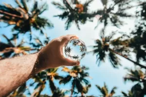 Lensball photo from palmtrees with crystal ball